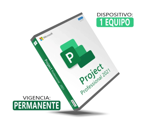 projetc pro 21 Projet Professional 2021